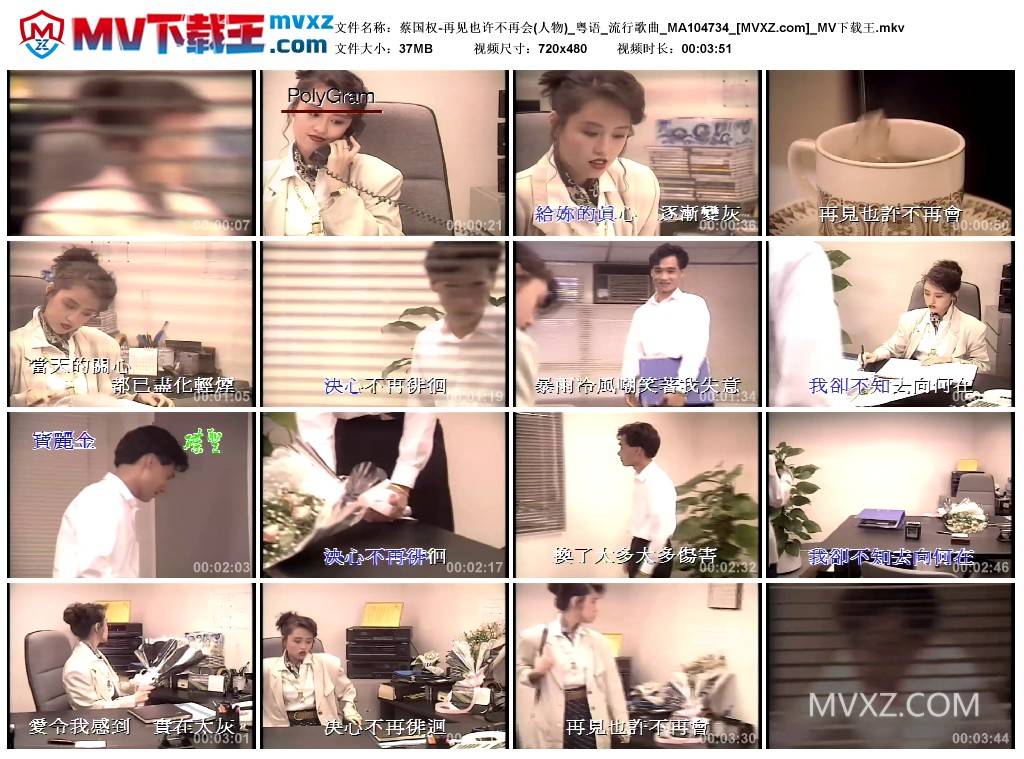 蔡国权-再见也许不再会(人物)_粤语_流行歌曲_MA104734